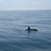 IMG_9645